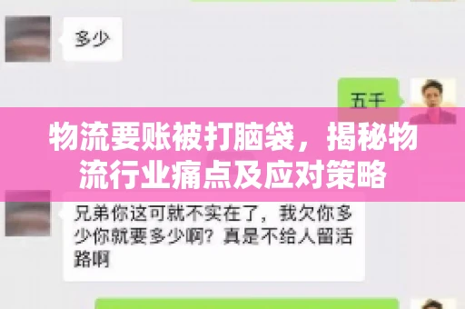 物流要账被打脑袋,揭秘物流行业痛点及应对策略 物流要账被打脑袋,揭秘物流行业痛点及应对策略