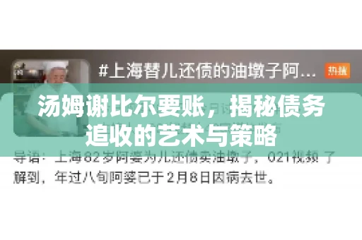汤姆谢比尔要账，揭秘债务追收的艺术与策略