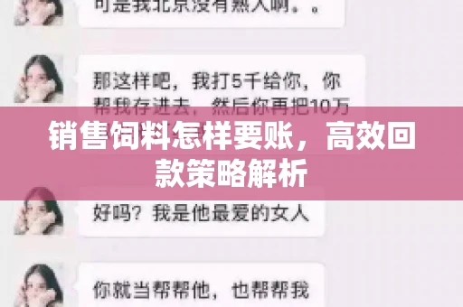 销售饲料怎样要账，高效回款策略解析