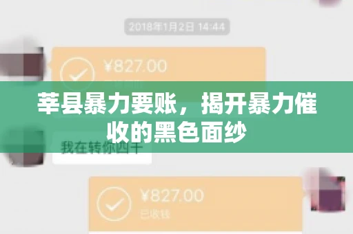 莘县暴力要账,揭开暴力催收的黑色面纱 莘县暴力要账,揭开暴力催收的黑色面纱