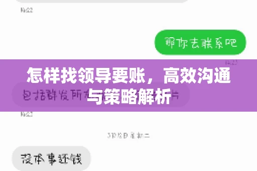 怎样找领导要账，高效沟通与策略解析