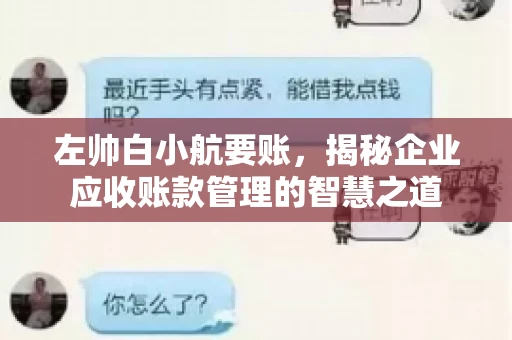 左帅白小航要账，揭秘企业应收账款管理的智慧之道