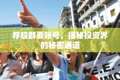 荐股群要账号，揭秘投资界的秘密通道