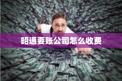 昭通要账公司怎么收费