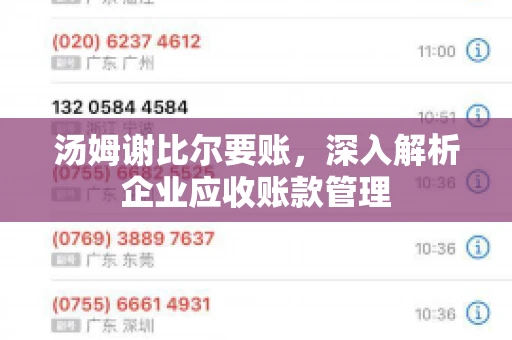 汤姆谢比尔要账，深入解析企业应收账款管理
