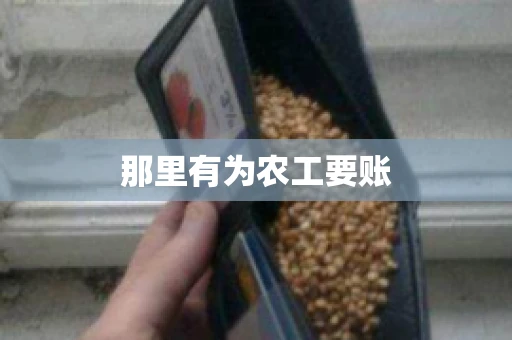 那里有为农工要账