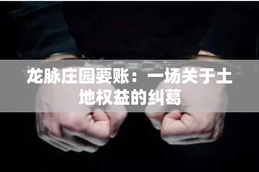 龙脉庄园要账:一场关于土地权益的纠葛 龙脉庄园要账:一场关于土地权益的纠葛