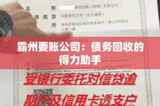 霸州要账公司:债务回收的得力助手 霸州要账公司:债务回收的得力助手