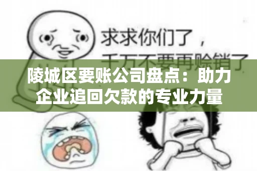 陵城区要账公司盘点：助力企业追回欠款的专业力量