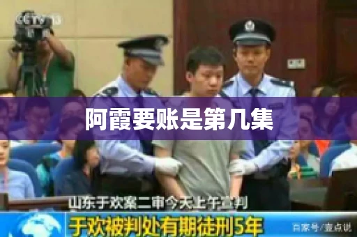 阿霞要账是第几集 阿霞要账是第几集