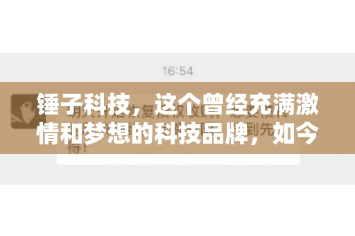 锤子科技，这个曾经充满激情和梦想的科技品牌，如今却陷入了要账的困境。今天，我们就来聊聊锤子科技要账的那些事儿。