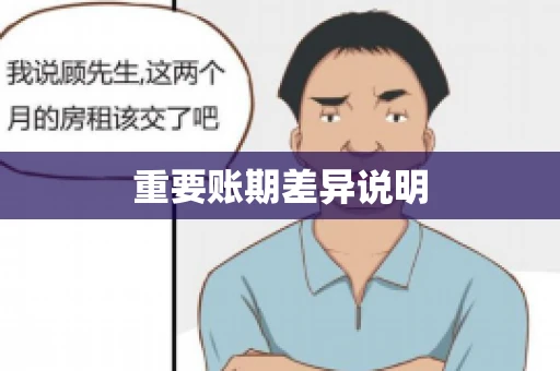 重要账期差异说明