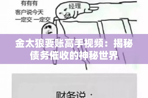 金太狼要账高手视频：揭秘债务催收的神秘世界