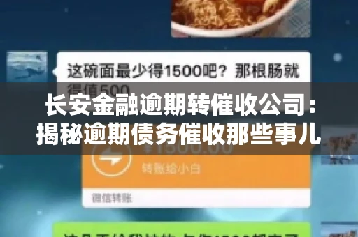 长安金融逾期转催收公司：揭秘逾期债务催收那些事儿