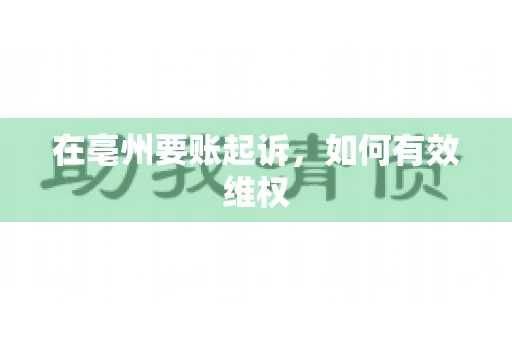 在亳州要账起诉，如何有效维权
