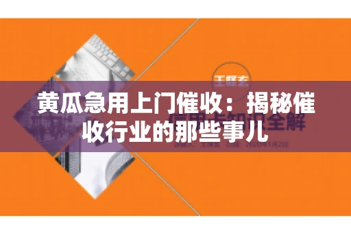 黄瓜急用上门催收：揭秘催收行业的那些事儿
