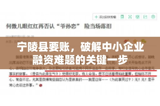 宁陵县要账，破解中小企业融资难题的关键一步