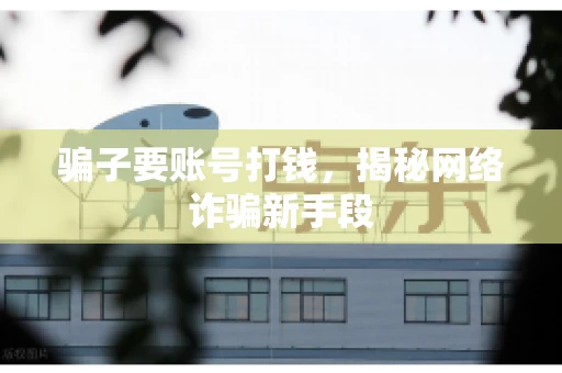 骗子要账号打钱，揭秘网络诈骗新手段